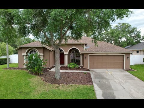 18206 Stillwell Ln, Tampa, FL home video tour