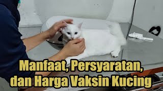 Benefits, Requirements, and Prices of Cat Vaccines