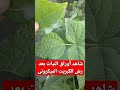 ٢٣ نوفمبر ٢٠٢٢