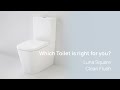 Caroma luna square clean flush back to wall toilet  which toilet is right