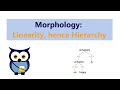 Morphology: Linearity, hence Hierarchy