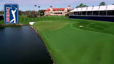 Are there alligators at TPC Sawgrass?
