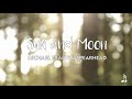 Sun and Moon - Michael Franti & Spearhead (lyrics)