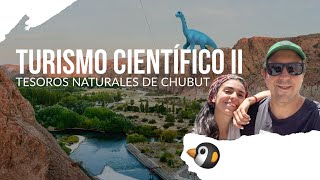 Tour CIENTÍFICO en Reservas Naturales IMPERDIBLES 😍 VALLE y COSTA de Chubut - Vanlife Patagonia