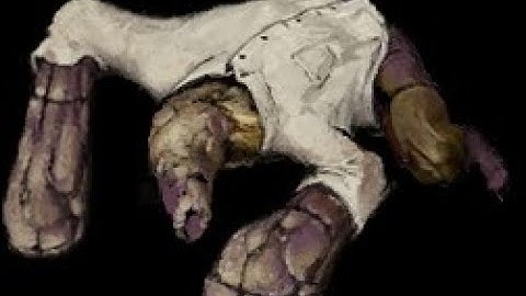 Fear & Hunger 2: Termina - Brutal Neighbour Attack