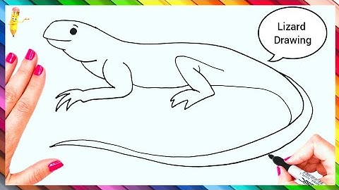 How to draw Lizard step by step | Lizard drawing 