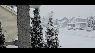 BEAUTIFUL SNOW DAY WINTER IN CANADA