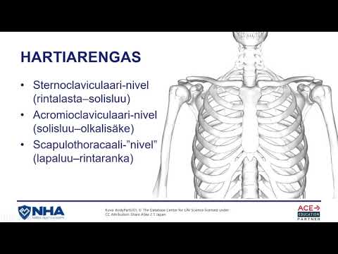 Video: Molaarinen Anatomia, Määritelmä Ja Kuvat - Vartalokartat