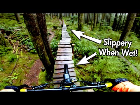 North Shore Woodwork in the Wet // Mt Seymour, BC