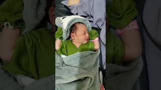 puji Tuhan Yesus Kristus dohot Bunda Maria atas kelahiran aku
