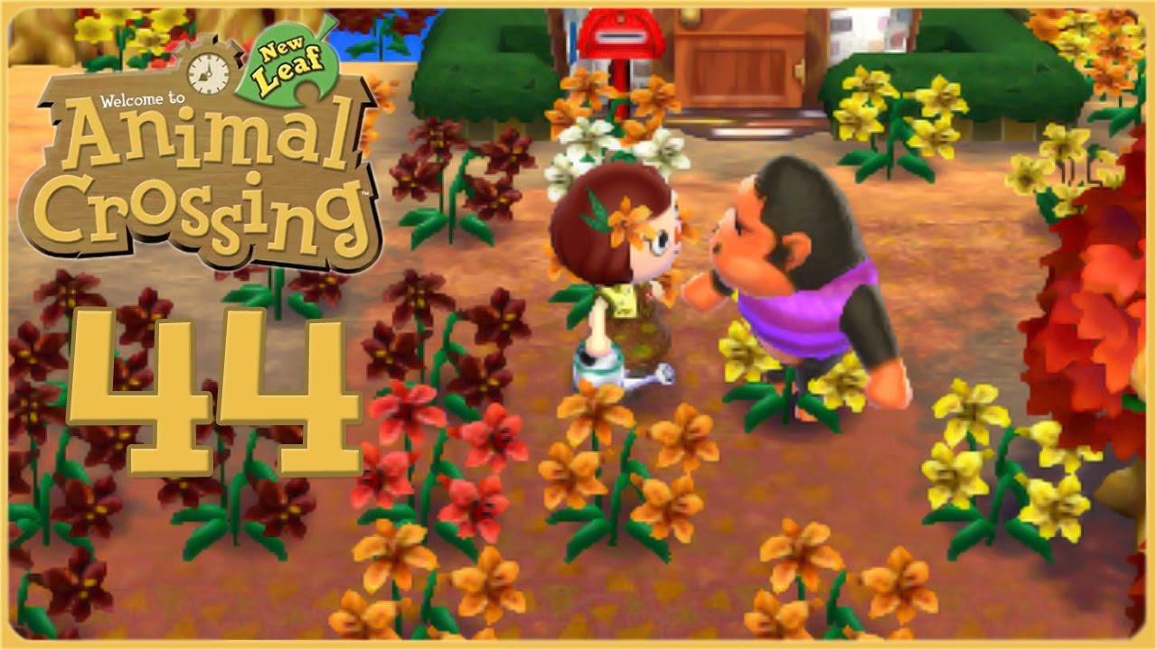 10 Gorgeous Animal Crossing New Horizon Island Designs