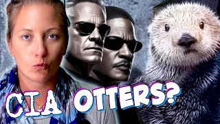 CIA's Sea Otter Dossier / Marine Biologist Reacts