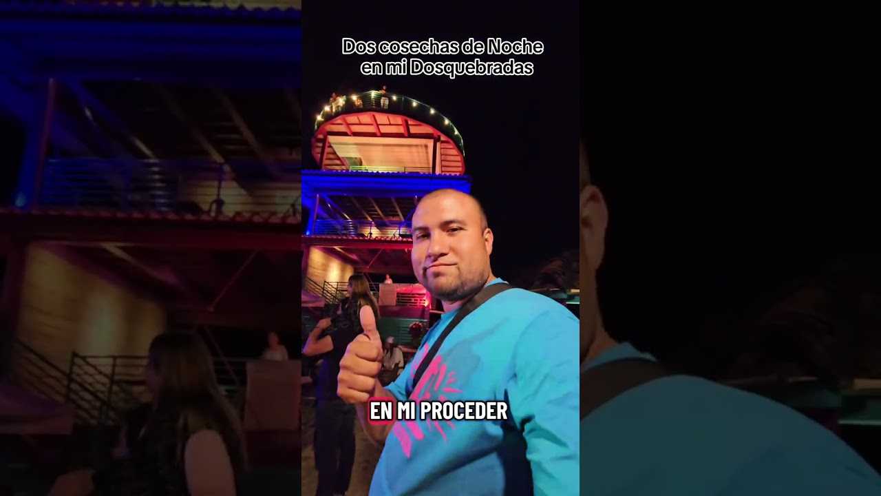 Dos Cosechas De Noche 