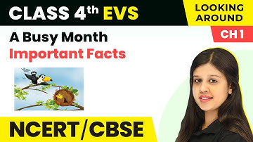 Busy Month - Important Facts | Class 4 EVS | CBSE 2024-25