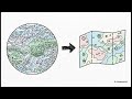 Genomic Cartographer