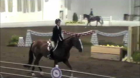 Natalie Liberman and Bellagio 2011 ASPCA/Maclay Re...