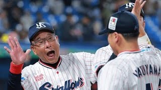 最下位予想のヤクルトが首位争い！？🔥 池山監督“型破り采配”が球界を変える！#ヤクルトスワローズ #池山隆寛 #プロ野球 #セリーグ #ヤクルト #野球 #村上宗隆 #ブンブン丸 #スポーツニュース 