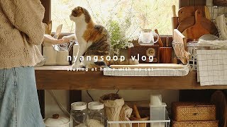 SUB) A good day to be in a forest, with food and my cat | VLOG