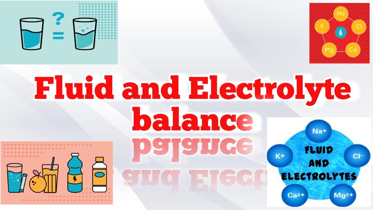 Fluid and Electrolyte balance explanation in hindi YouTube