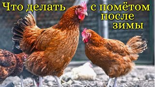 Куда девать куриный помёт из курятника, как сделать удобрение