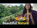 Beautiful nature around me.