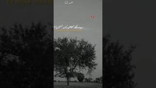 Poetry 🥀🫀#youtubeviralshorts #youtubeshorts #SAAD-8855#shayari#sher#love#sadstatus#trending#viral
