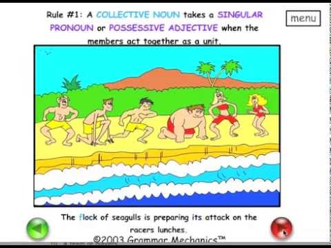 Learn about Collective Nouns - Easy English Grammar - YouTube
