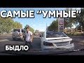 Подборка САМЫХ "УМНЫХ" водителей #301