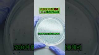 건강하다던 아침 물이 독? |보스턴 연구로 밝혀진 충격적 진실