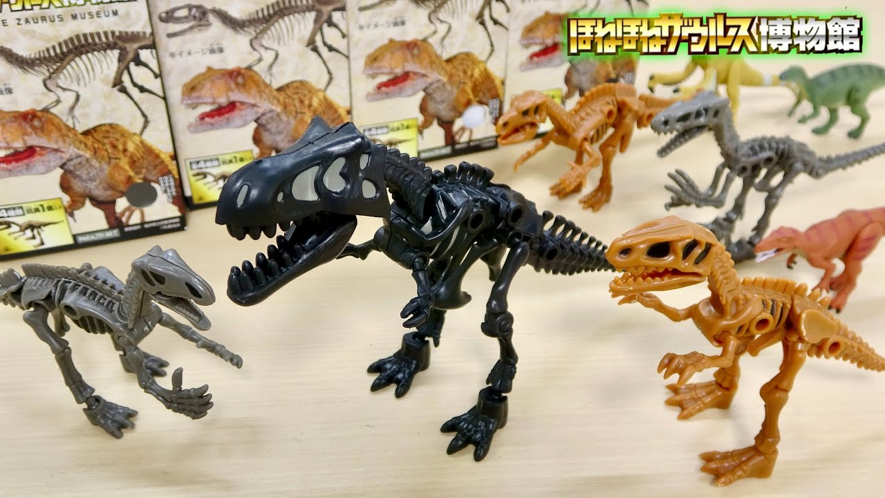 福井の恐竜がほねほねザウルスで登場! 全4種類集めて巨大な