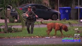 Helicopter above, Sheriff deploys Bloodhound to search for someone or suspect in North Lauderdale!