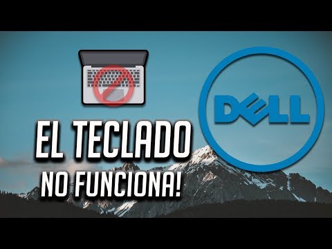 Vídeo: Com practiqueu 10 tecles en un ordinador portàtil?