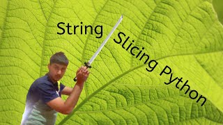 string slicing in python for beginners | advance python topic with ease.