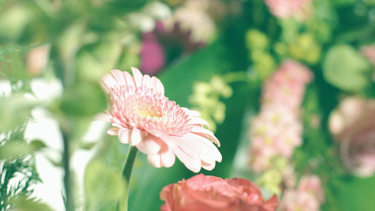 Vid dödsfall – En informationsfilm av Fonus Öst