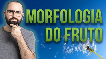 Organologia do Fruto (Morfologia) Parte 01 - Aula 20: Botânica (Prof. Guilherme)