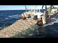 Amazing big catching on the sea with modern big boat  amazing giant fishing net i never seen