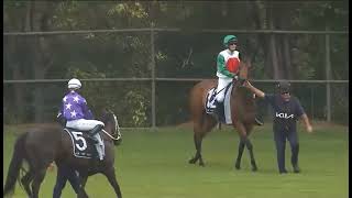 R4-Canterbury-AUSTRALIA-01 JAN 2026 screenshot 2