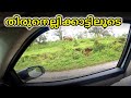 Road Trip To Thirunelli Forest/തിരുനെല്ലി  വനത്തിലെ സുന്ദരമായ  കാഴ്ചയും ഒറ്റയാനും