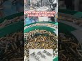 Butt Hinge Auto Assembly Line #assemblymachine #machine