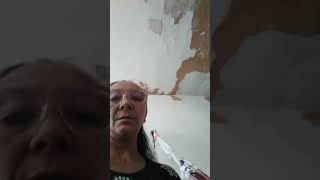 vida corrida muitas tarefas, bom dia a todos