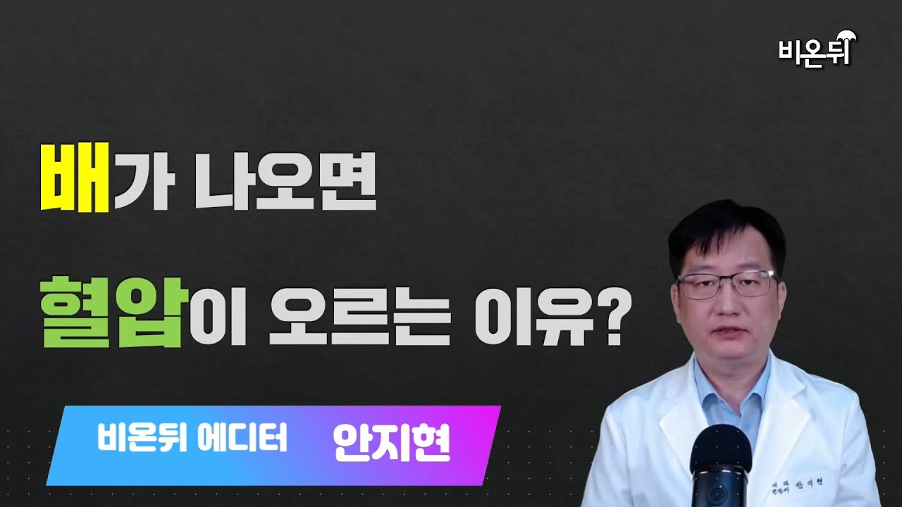 배 나온 사람(비만한 사람)이 혈압이 높은 이유? - YouTube