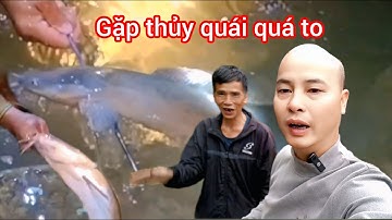 Đánh Bắt Cá Trong Đêm, Gặp Thủy Quái Quá To ! #DanhBat#Ca#SongSuoi