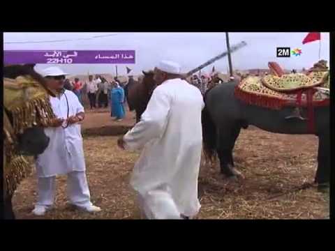 Tkber W Tenssa تكبر وتنسى حلقة الخيل