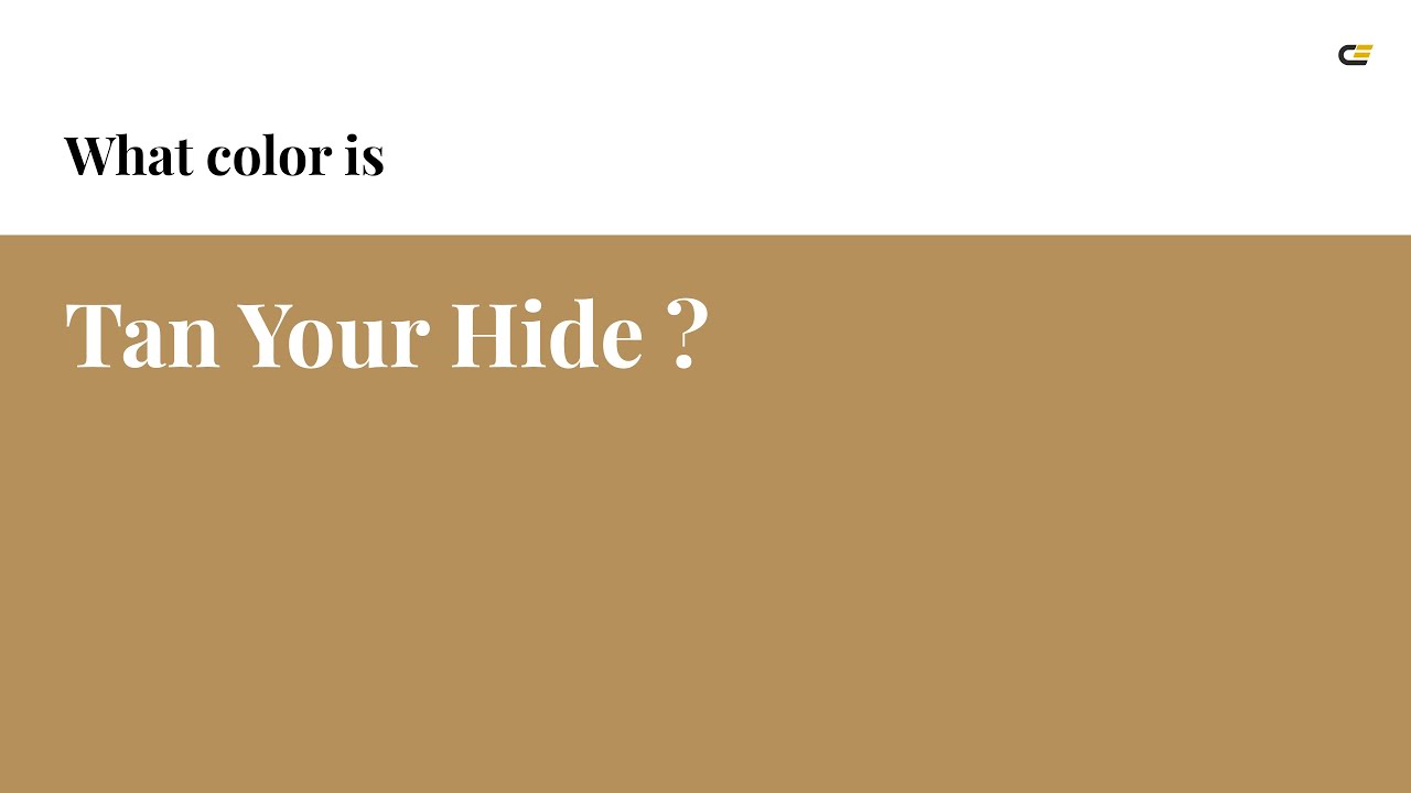 Tan Your Hide color #b5905a hex color - Yellow color - Cool color ...