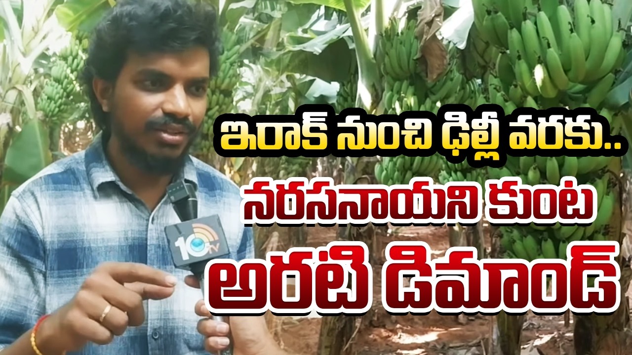 ఇరాక్ నుంచి ఢిల్లీ వరకు.. నరసనాయని కుంట అరటి డిమాండ్ | Matti Manishi | 10TV News