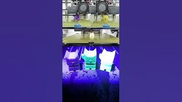 Cali Cat - The Calibration Cat