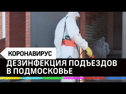 В Подмосковье ежедневно дезинфицируют подъезды