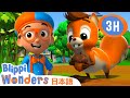リス | ブリッピーワンダーズ | 子供向け動画 | 人気アニメ