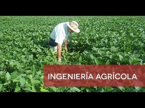 Calendario practicas ingenieria agricola usal 3