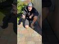 Who’s tired of re sanding their block paving every year? The sand we use is weed resistant! #diy
